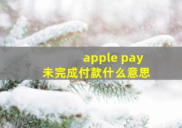 apple pay未完成付款什么意思